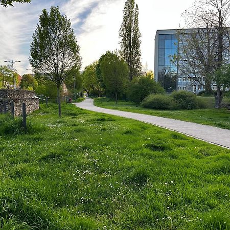 Neustadt an der Weinstraße Speyerbach - Modernes Apartment Nahe Neustadter Innenstadt מראה חיצוני תמונה