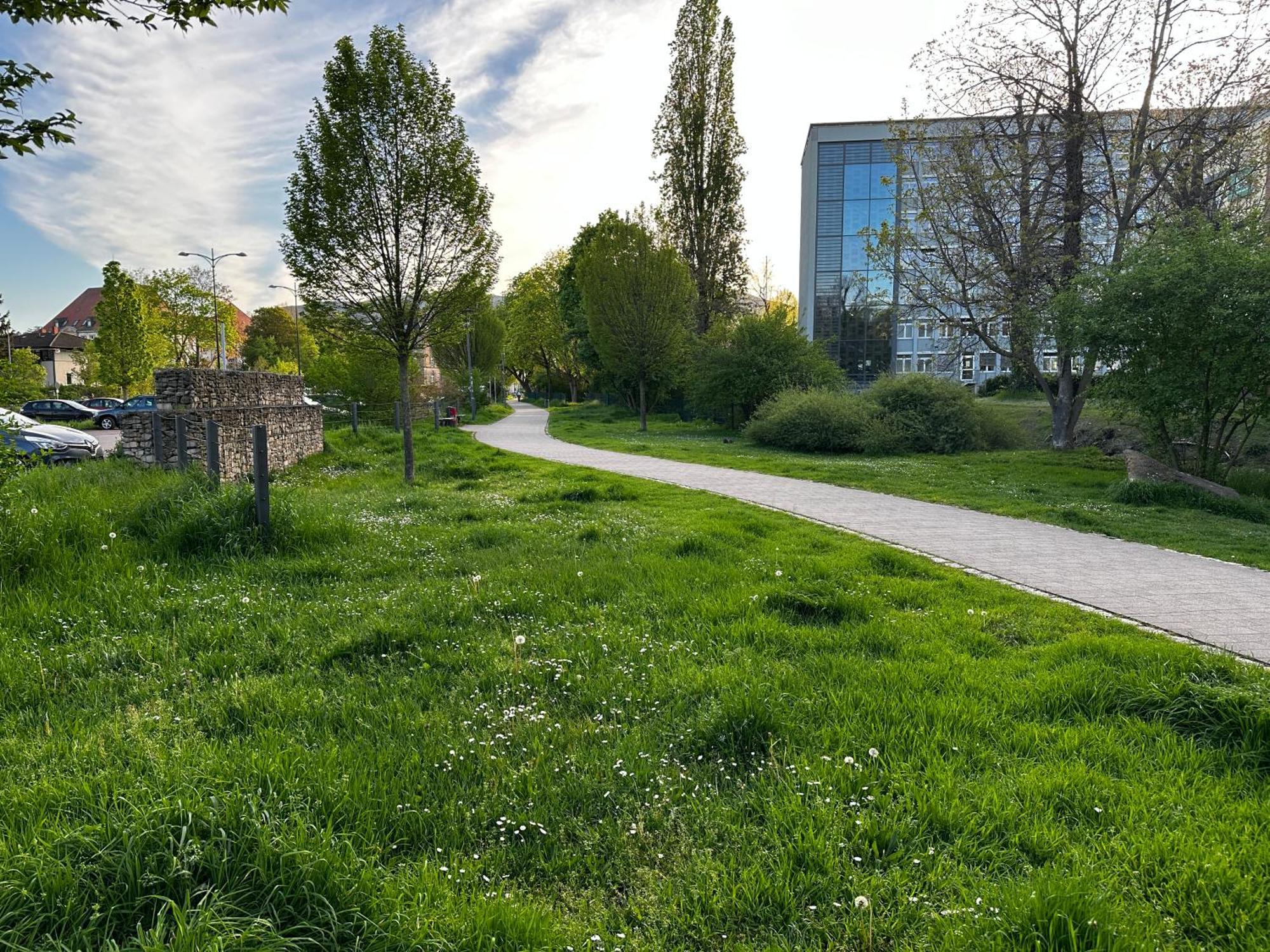 Neustadt an der Weinstraße Speyerbach - Modernes Apartment Nahe Neustadter Innenstadt מראה חיצוני תמונה